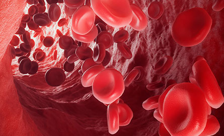 Hemoglobinas